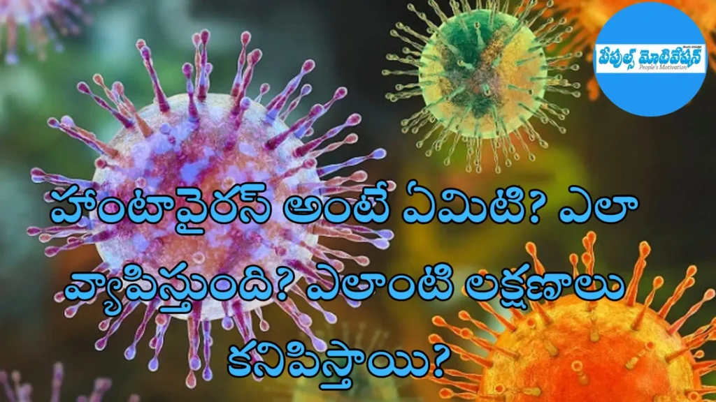 హంటావైరస్ అంటే ఏమిటి? ఎలా వ్యాపిస్తుంది? ఎలాంటి లక్షణాలు కనిపిస్తాయి? 