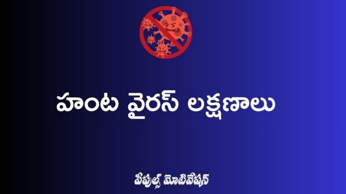 హంట వైరస్ లక్షణాలు